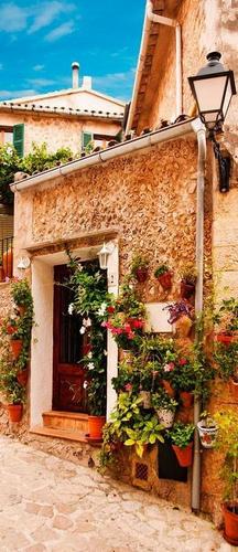 дом, стена, цветы, горшки, небо