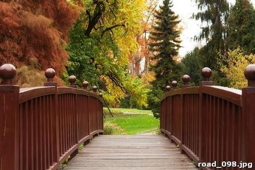 Мост, осень, парк, деревья