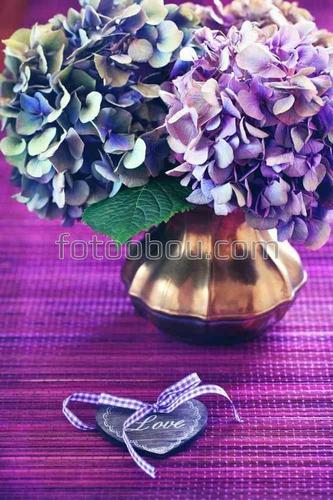 цветы, гортензия, букет, природа, натюрморт, ваза