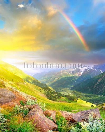 радуга, горы, цветы, трава, разноцветный