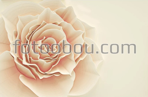 3д роза, роза, фотообои роза