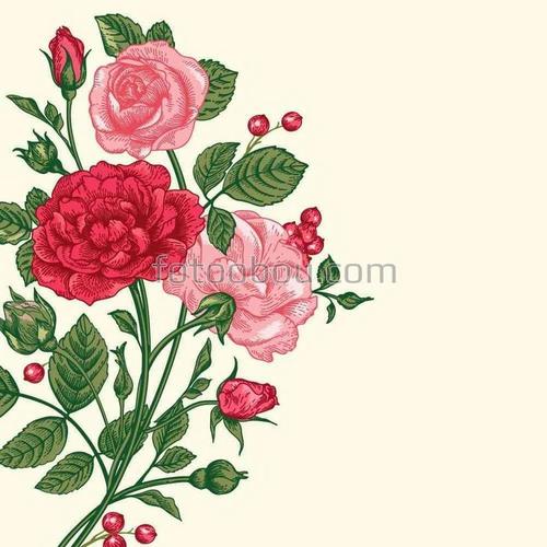 розы, букет, красные, розовые