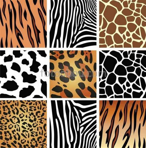 абстракции, плитка, зебра, жираф, тигр, леопард, узоры