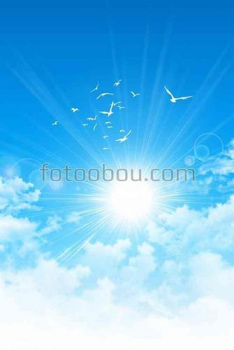 природа, небо, облака, голуби, птицы, солнце