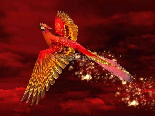 птицы, красный тон, феникс, животные