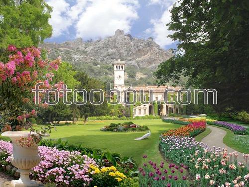 горы, замок, природа, цветы, аллея, тюльманы