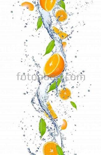 апельсины, струя, вода, фрукты, натюрморт