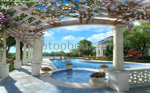 терраса, колонны, бассейн, цветы, дом, природа