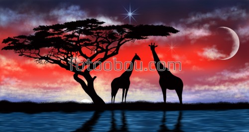жирафы, дерево, месяц, ночь, река, водопой