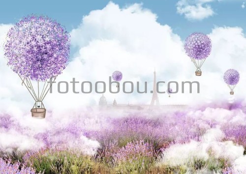 цветы, Париж, шары, облака, поле, лаванда
