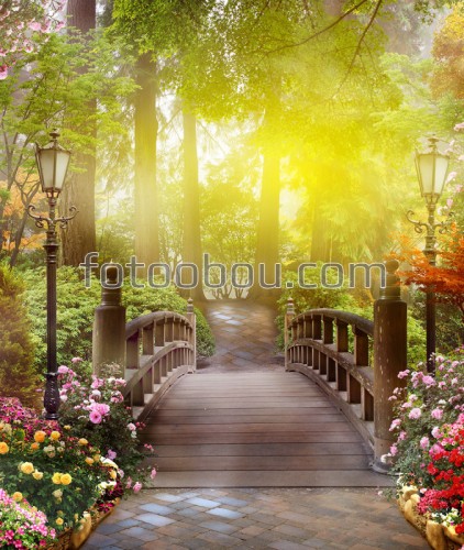 мостик, цветы, лес, деревья, трава