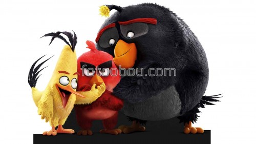 мультик, игра, Аngry Birds