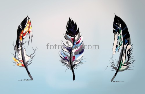 перо, голубой, белый, черный, рисунок