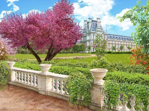 сад, парк, замок, сакура, природа