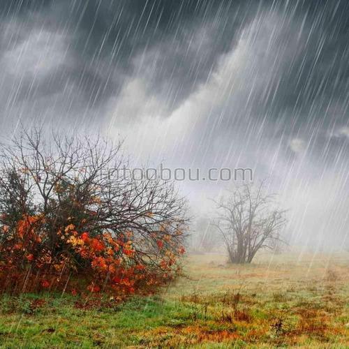 природа, стихия, дождь, поле, осень, деревья