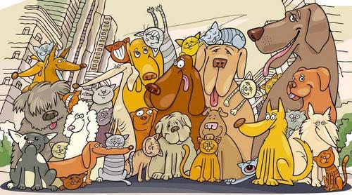 собаки, кошки, дома