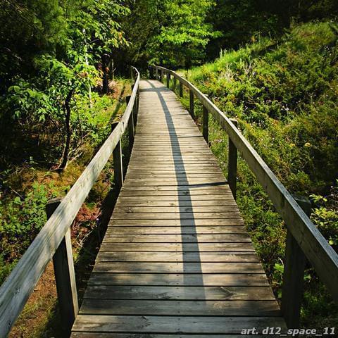 Деревянный, мостик, перилами, трава, деревья