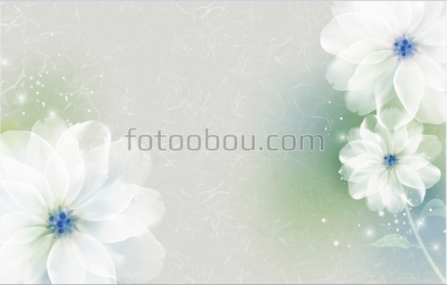 цветы, ромашки, 3Д, стереоскопические, светлые