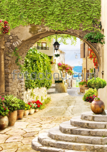 арка, улица, дома, цветы