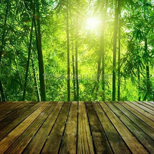 роща, сад, терраса, природа, бамбук