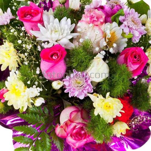 цветы, природа, букет, розы