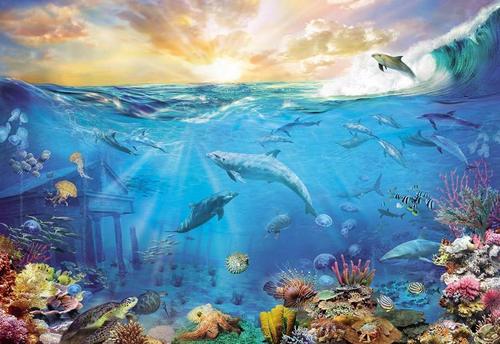 подводный мир, волна, дельфины, рыбы, закат, кораллы