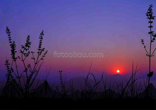 природа, рассвет, восход, горы, трава