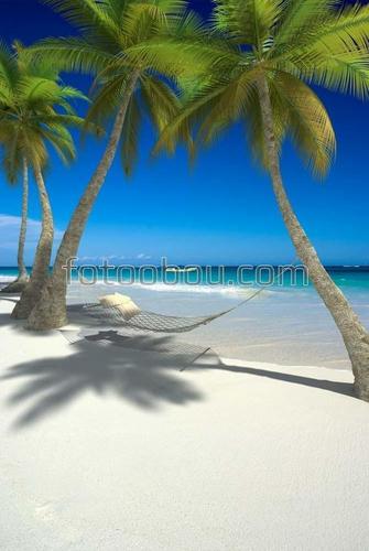 пальмы, песок, тень, море