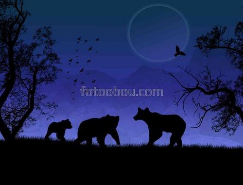 медведи, животные, природа, луна, ночь
