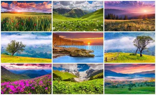 природа, лето, коллаж, поле, горы, закат, деревья, море