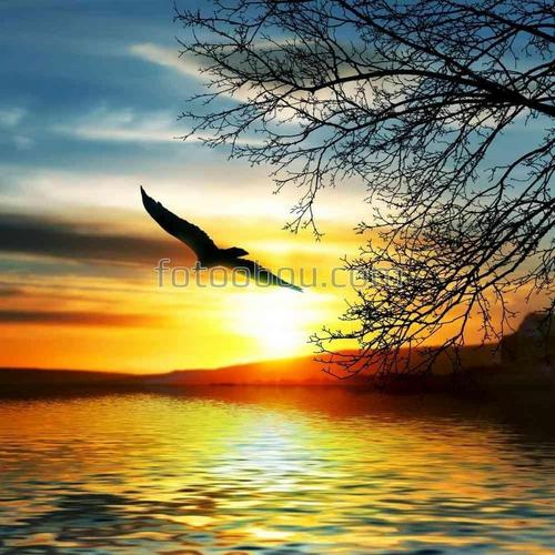 природа, закат, птица, орел, озеро