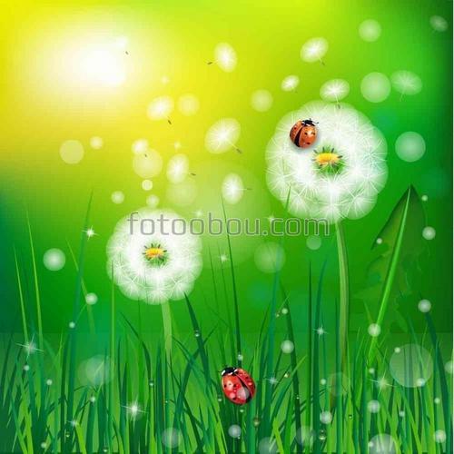 природа, одуванчики, божья коровка, букашки, трава, поле