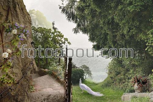 природа, горы, лес, павлин, деревья