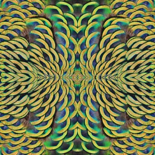 абстракция, плетенка, зеленый, перья