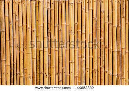 бамбук, бежевые, бамбук, природа