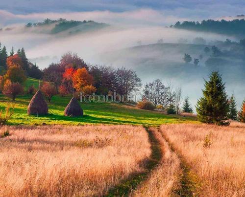 природа, поле, туман, холмы, осень