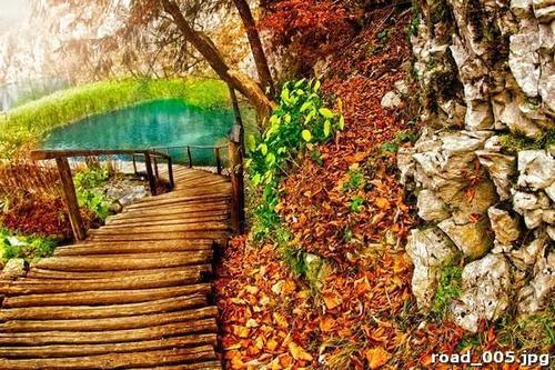 Спуск, пруд, трава, деревья