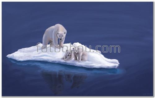 животные, северные мишки, белый медведь, льдина, океан, вода