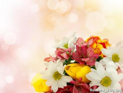 букет, лилия, гербера, тюльпаны, цветы