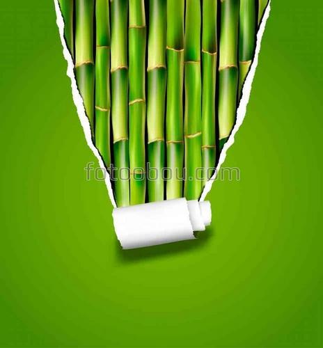 Бамбук, стена, природа