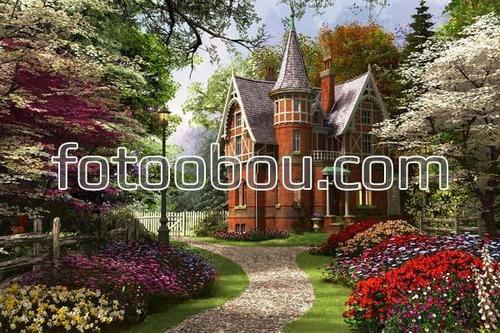 Домик, сад, дворик, цветы, природа