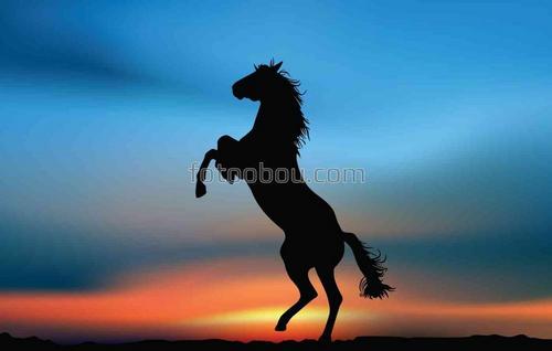 лошади, животные, закат, природа