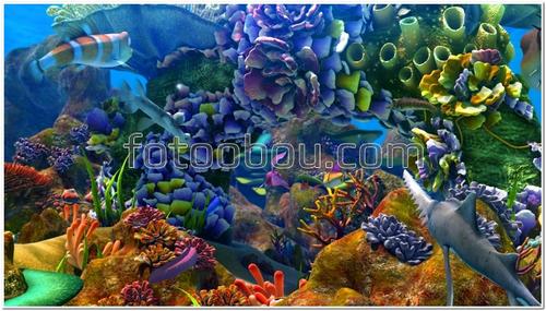 подводный мир, вода, океан, кораллы, водоросли, рыбы