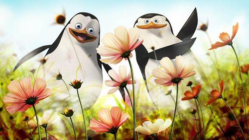 пингвины, мадагаскар, для детей, мультфильм