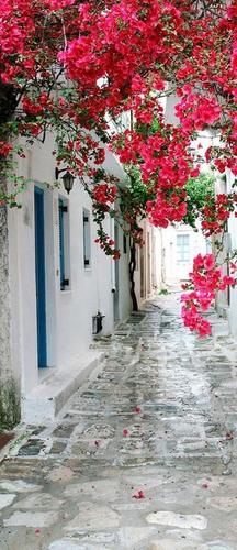 улица, дом, окна, цветы, красный, белый