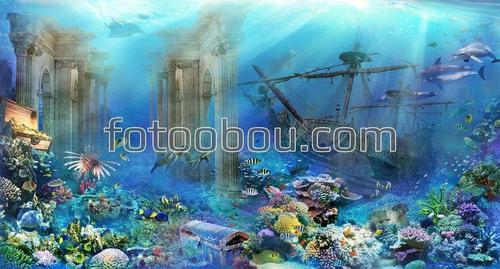 подводный мир, затонувший парусник, сокровища, море, дельфины