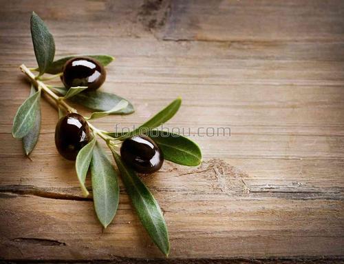 оливки, ветка, природа, стол