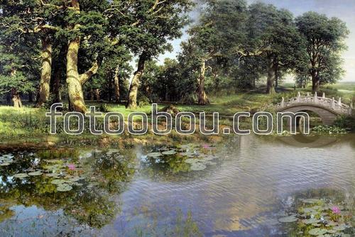 природа, мостик, лес, озер, деревья