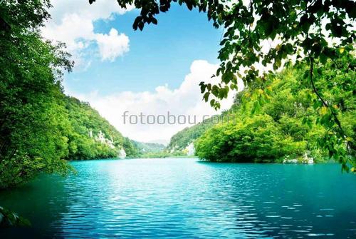 природа, озеро, горы, лес, ветви