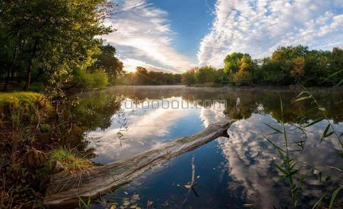 природа, озеро, лес, небо, облака